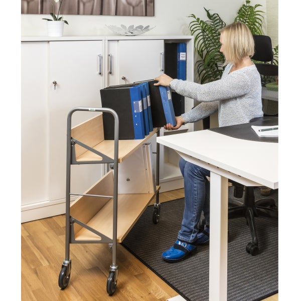 Regalwagen mit zwei Ablagen und Rollen