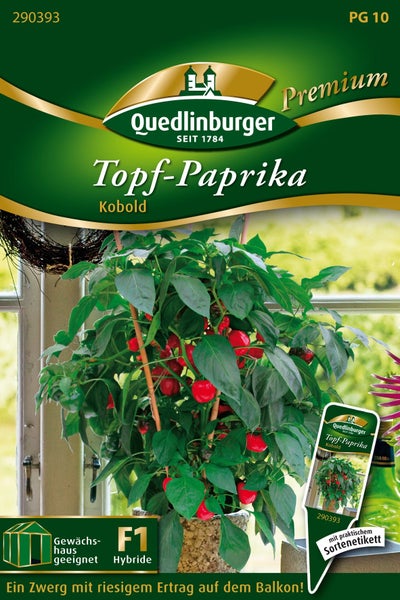 Quedlinburger Samenpackung für Topf-Paprika Kobold, F1-Hybride, Pflanze mit vielen roten Früchten, geeignet für Gewächshaus und Balkon.