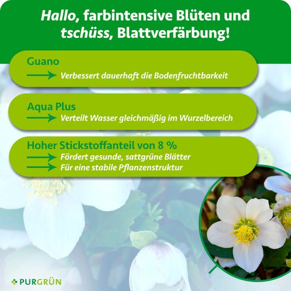 Infografik zu Pflanzendünger: Guano verbessert Bodenfruchtbarkeit, Aqua Plus verteilt Wasser, 8 Prozent Stickstoff stärkt Blätter. Purgrün Logo.