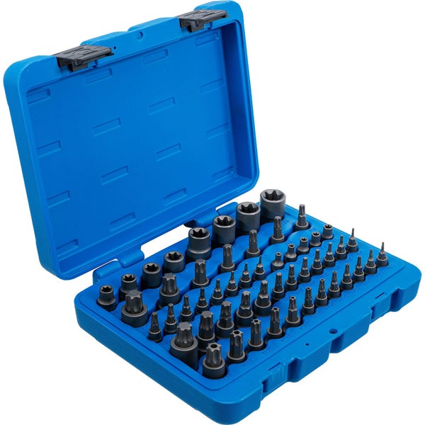 BGS Bit-Einsatz- und Steckschlüssel-Einsatz-Satz E-Profil / T-Profil (für Torx) / T-Profil (für Torx) mit Bohrung / TP-Profil (für Torx Plus) 52tlg. - 9839