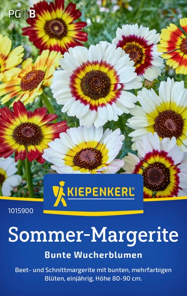 Kiepenkerl Saatgut Sommer-Margerite Bunte Wucherblumen mit mehrfarbigen Blüten einjährig Wuchshöhe 80 bis 90 Zentimeter für Beet und Schnitt