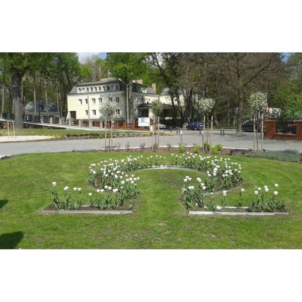 Geformtes Blumenbeet mit weißen Tulpen in einer Grünanlage vor einem Gebäude im Hintergrund.