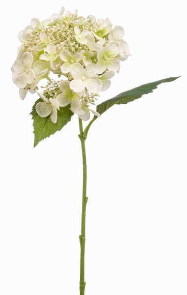 Künstliche Hortensie mit weißen Blüten und grünen Blättern am Stiel für die Dekoration.