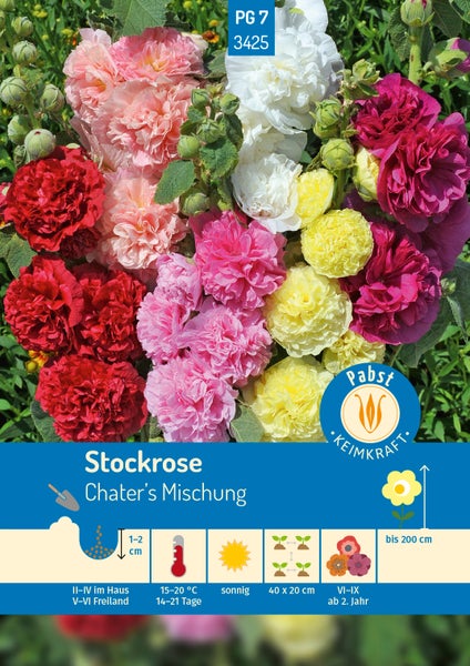 Stockrosen Chater's Mischung Samen von Pabst Keimkraft