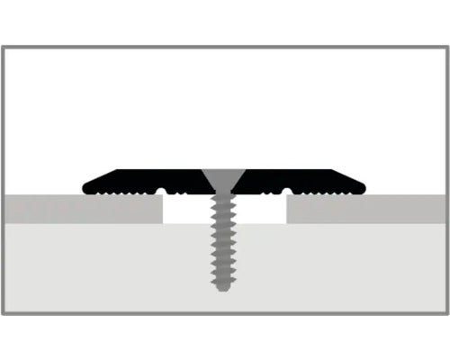Übergangsprofil 442 Alu eloxiert platin 100 cm