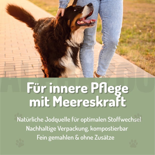 alphazoo Seealgenmehl 250g