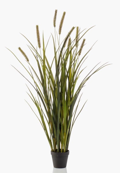 Künstliches Ziergras im schwarzen Kunststofftopf mit hohen grünen Halmen und Ähren.
