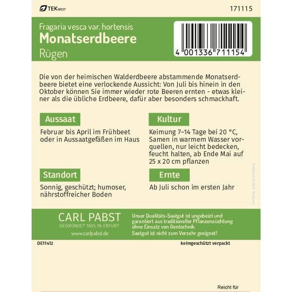 Monatserdbeere Rügen Samen von Pabst Keimkraft