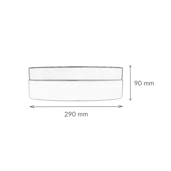 Skizze einer rechteckigen Box mit den Maßen 290 mm mal 90 mm.