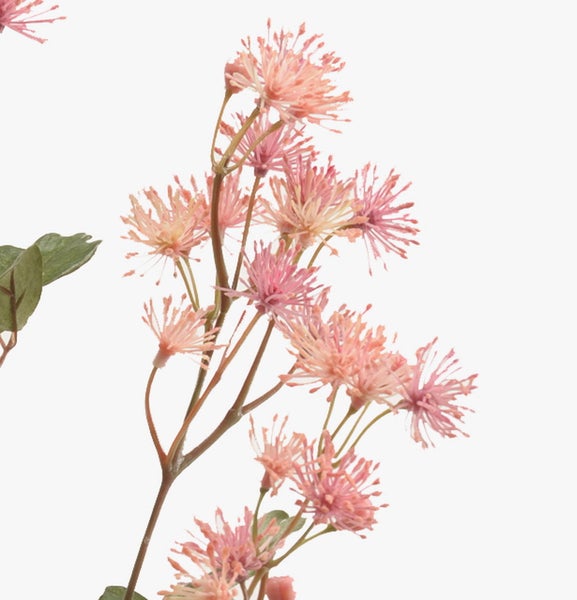 Künstliche Hängepflanze Maranta mit gemusterten Blättern