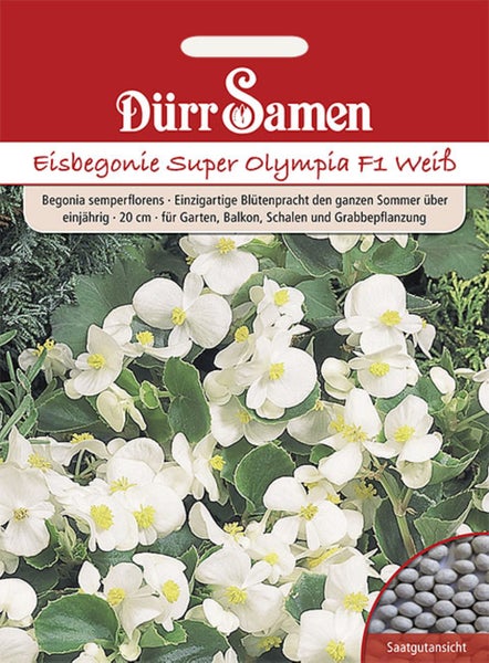 Dürr Samen Logo auf einer Samentüte für Eisbegonien Super Olympia F1 mit weiß blühenden Pflanzen und einer Ansicht des Saatguts.