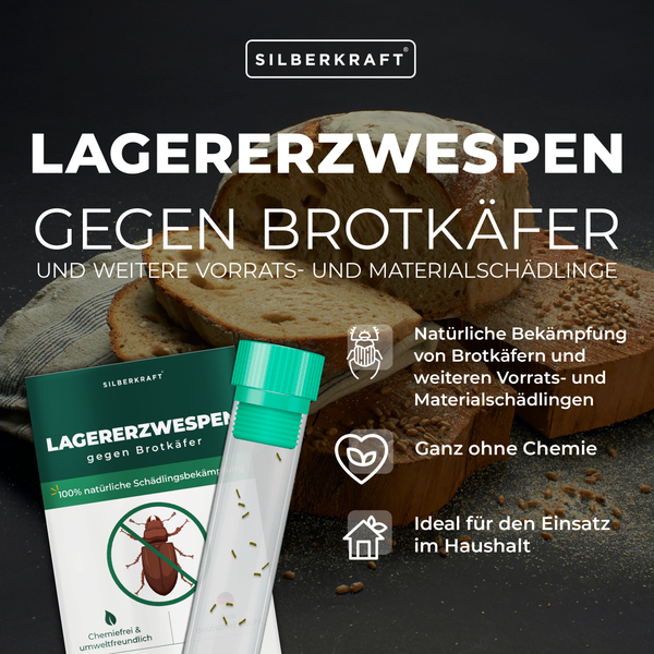 Silberkraft Lagererzwespen zur natürlichen Bekämpfung von Brotkäfern und Vorratsschädlingen, ohne Chemie, ideal für den Haushalt.