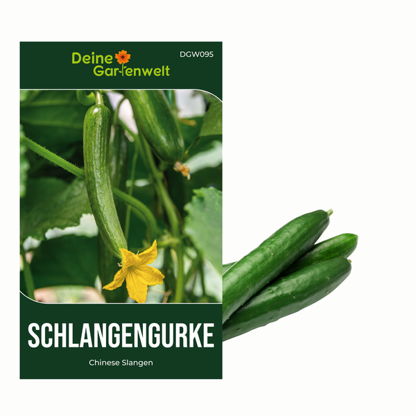 Freilandsalatgurken Chinese Slangen Samen von Deine Gartenwelt