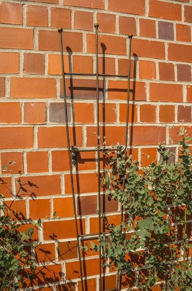 Rankgitter Bari Metall  170 cm gefächerte Form unbeschichtet