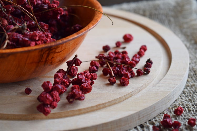SAFLAX  - Wu-Wei-Zi Beere - Schisandra chinensis - 15 Samen - Mit keimfreiem Anzuchtsubstrat