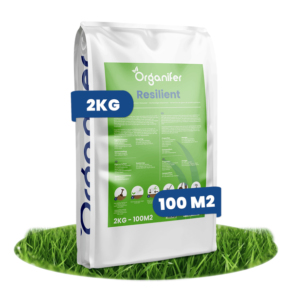 Organifer Resilient Rasensamen, 2 Kilogramm für 100 Quadratmeter, hochwertige Grasmischung für strapazierfähigen Rasen.