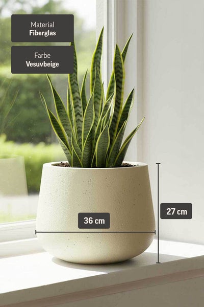 Pflanzgefäß aus Fiberglas in Vesuvbeige, Durchmesser 36 Zentimeter, Höhe 27 Zentimeter, auf einer Fensterbank mit einer Zimmerpflanze.