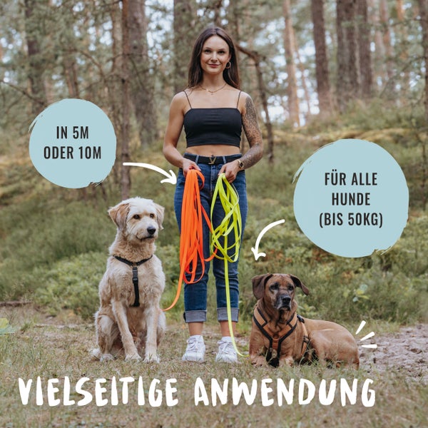 Rudelkönig Schleppleine 10m gelb Hundeleine Trainingsleine Hund robust langlebig verstellbar Outdoor Gassi