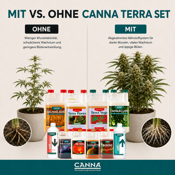 Vergleichsgrafik Canna Terra Set mit Darstellung von Pflanzenwachstum und Wurzelbildung bei Anwendung von Canna Düngemitteln.
