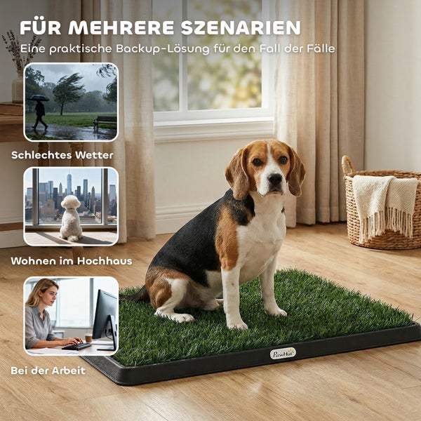 Beagle auf PawHut Hundetoilette aus Kunstrasen in hellem Wohnzimmer mit Anwendungsszenarien für schlechtes Wetter, Hochhaus und Arbeit.