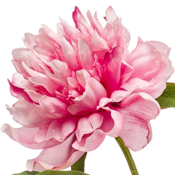 Erbsenpflanze Senecio rowleyanus im grauen Keramikübertopf mit Rautenmuster, hängende Sukkulente.