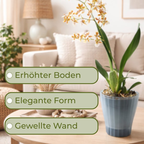 Zimmer mit Topfpflanze im blauen Topf und Textfeldern, die die Eigenschaften des Produkts hervorheben.