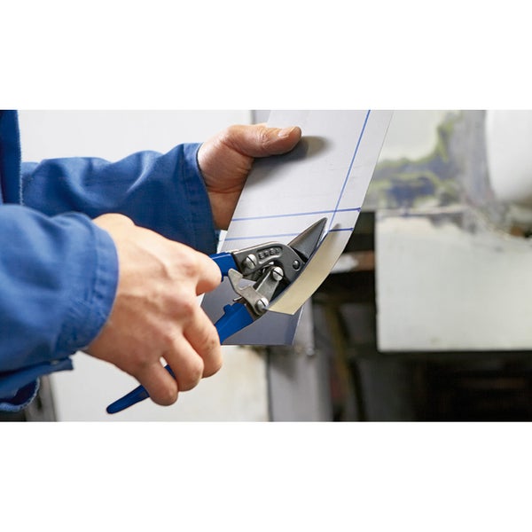 Bromelie im Topf mit dekorativer Blüte