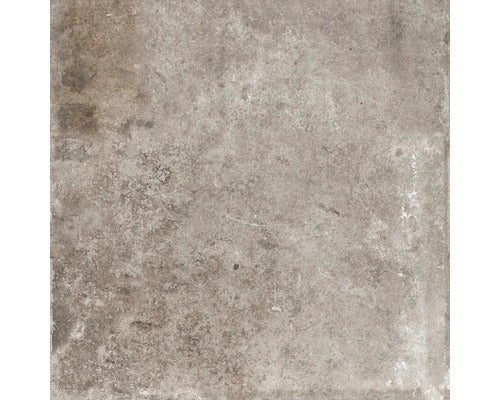 Wand- und Bodenfliese Watford taupe 60,9x60,9 cm