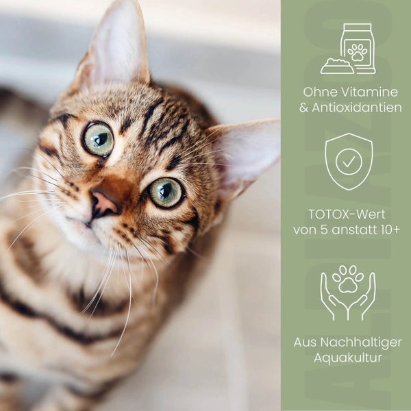 Katze und grafische Darstellung der Produktmerkmale: ohne Vitamine und Antioxidantien, niedriger TOTOX-Wert, aus nachhaltiger Aquakultur