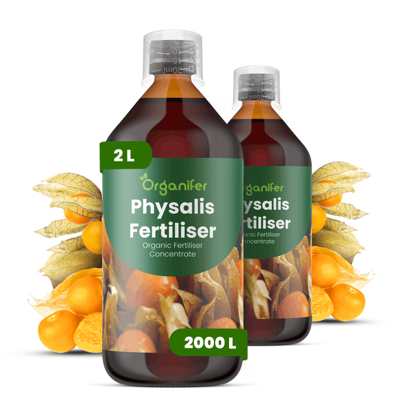 Organifer Physalis-Dünger, zwei Flaschen zu je 2 Liter, organisches Flüssigdünger-Konzentrat für Physalis-Pflanzen.