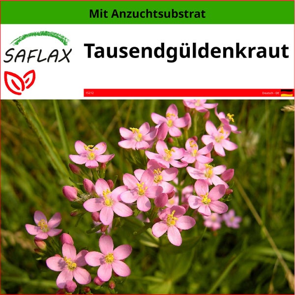 SAFLAX  - Tausendgüldenkraut - Centaurium erythraea - 250 Samen - Mit keimfreiem Anzuchtsubstrat