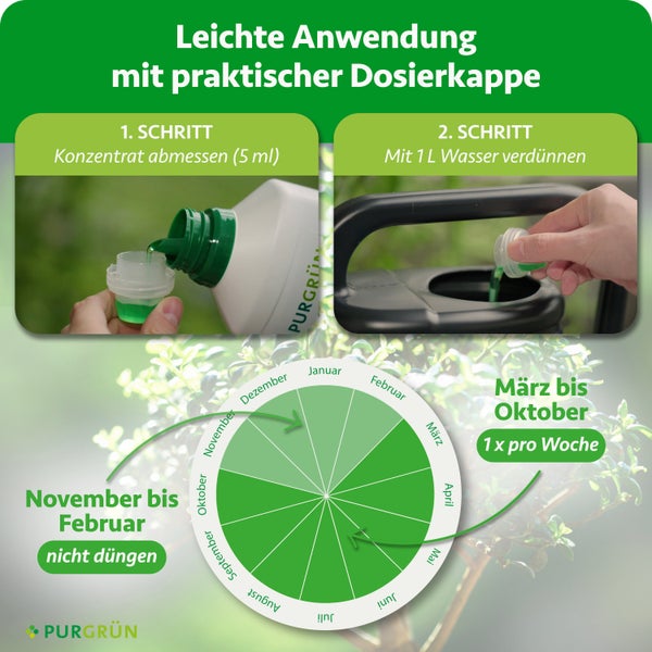 Düngeranwendung. Schritt 1: 5 Milliliter abmessen. Schritt 2: Mit 1 Liter Wasser verdünnen. März bis Oktober wöchentlich düngen. Purgrün Logo.