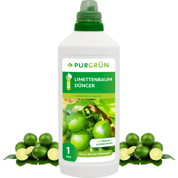 Purgrün Bio-Limettenbaum-Dünger 1 Liter