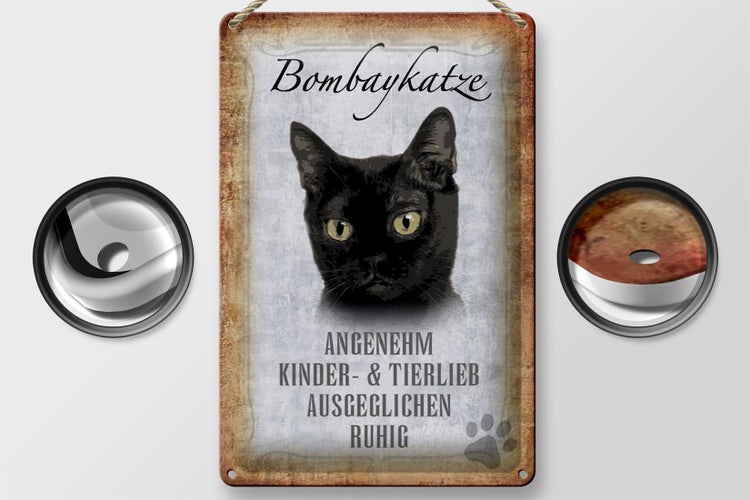 Blechschild Spruch 20x30cm Bombaykatze Katze Schild