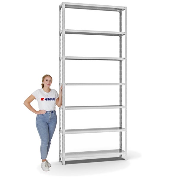 PROREGAL Fachbodenregal Schraubsystem Heavy-Duty Grundregal HxBxT 300 x 130 x 30 cm 7 Ebenen Fachlast 350 kg Beidseitig Nutzbar Lichtgrau