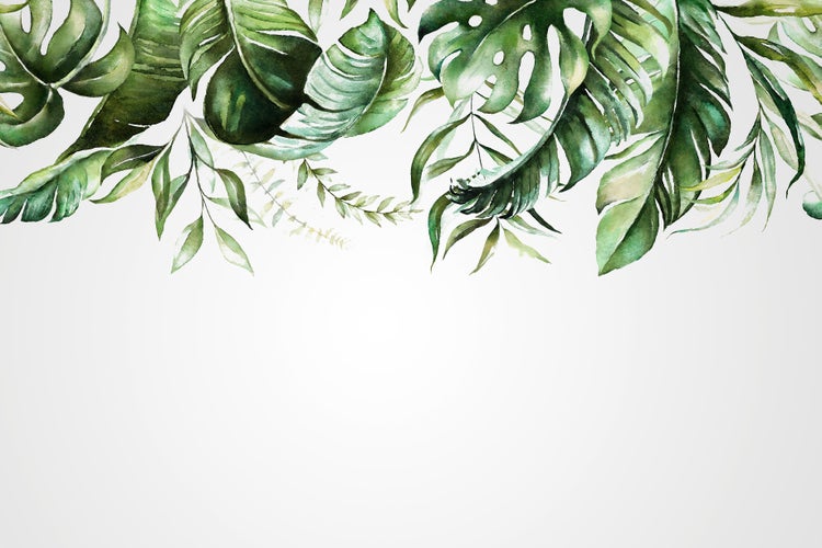 Wandtapete mit Aquarellmotiv von tropischen Monstera und Palmenblättern als Bordüre