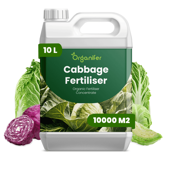 Organifer Logo, Bio-Kohl-Dünger Konzentrat, 10 Liter Kanister für 10.000 Quadratmeter, organischer Dünger für Gemüsekohl.