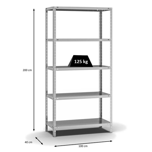 PROREGAL Fachbodenregal Schraubsystem Light-Duty Grundregal HxBxT 200 x 100 x 40 cm 5 Ebenen Fachlast 125 kg Beidseitig Nutzbar Verzinkt