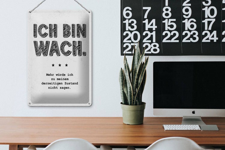 Blechschild Spruch lustig Zustand Ich bin wach 20x30cm