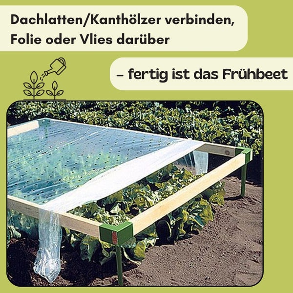 Hochbeet mit Folie und Salatpflanzen im Garten