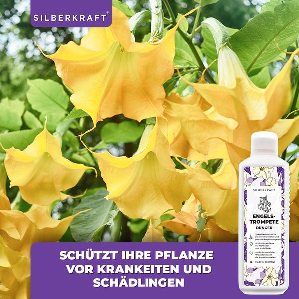 SILBERKRAFT Engelstrompete Dünger – Für prachtvolle Blüten – 1 Liter