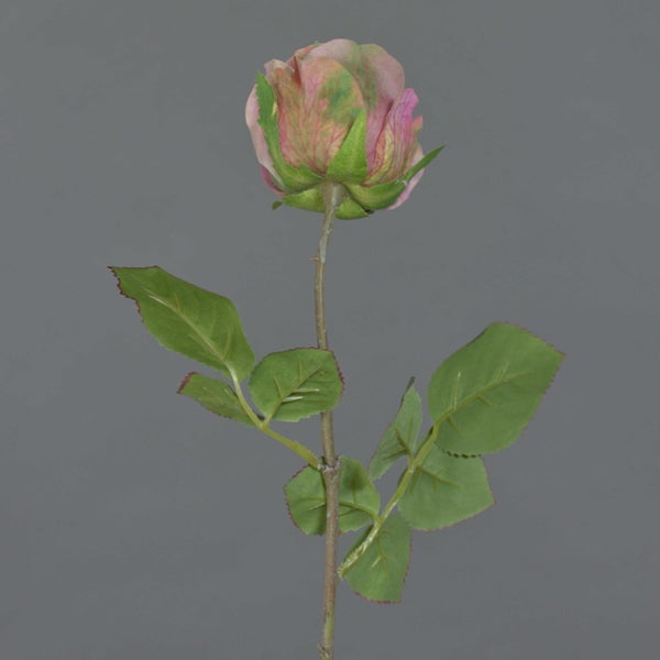 Künstliche Rose mit grünen Blättern und einer rosa-grünen Blüte.