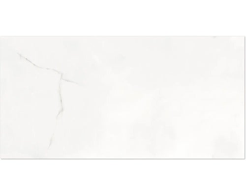Wand- und Bodenfliese Venato grau 60x120cm rektifiziert