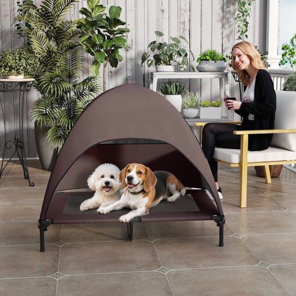 Hundebett mit Überdachung im Außenbereich mit Frau und zwei Hunden