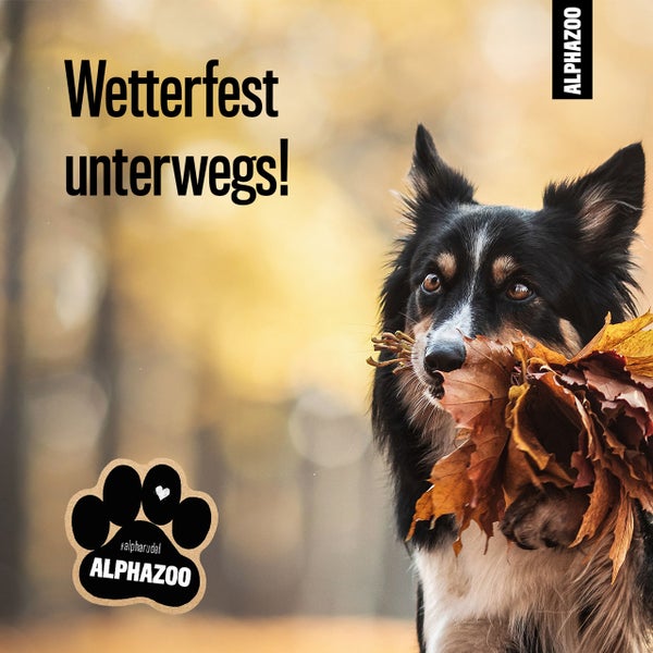 Wetterfest unterwegs: Ein Hund mit Herbstlaub im Maul und das Alphazoo Logo.