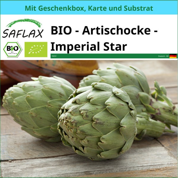 SAFLAX Geschenk Set - BIO - Artischocke - Imperial Star - Cynara scolymus - 5 Samen - Mit Geschenkbox, Versandaufkleber, Geschenkkarte und Anzuchtsubstrat