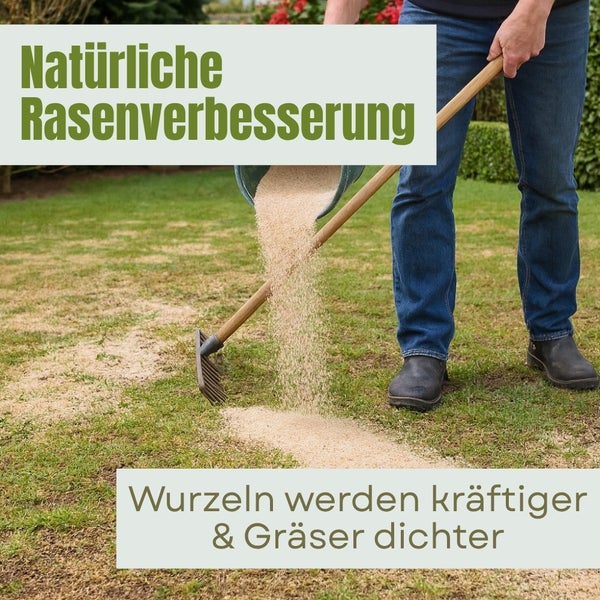 Gartenarbeit zur Rasenverbesserung mit Sand und einer Harke