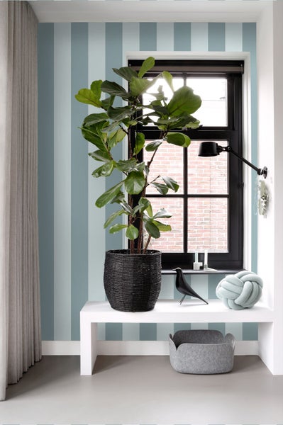 Modernes Interieur mit blau gestreifter Tapete, einer großen Pflanze in einem schwarzen Korb, einer weißen Bank und einem Fenster.