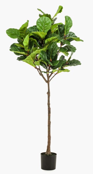Künstliche Zimmerpflanze Ficus lyrata mit großen grünen Blättern und verzweigtem Stamm.