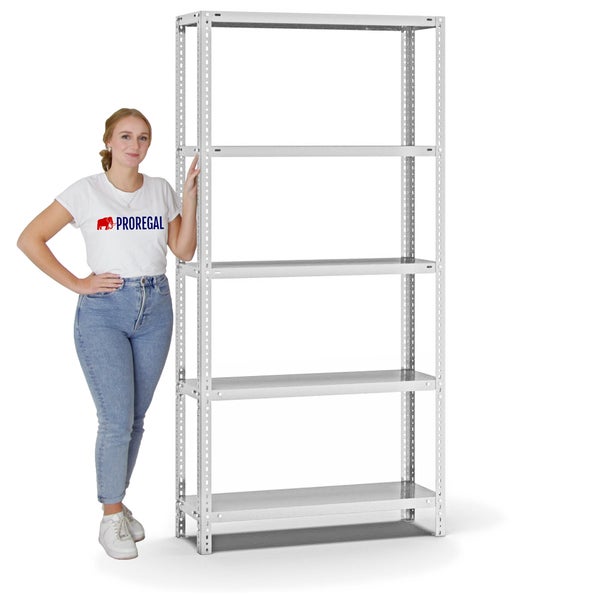 PROREGAL Fachbodenregal Schraubsystem Medium-Duty Grundregal HxBxT 200 x 100 x 30 cm 5 Ebenen Fachlast 200 kg Beidseitig Nutzbar Lichtgrau